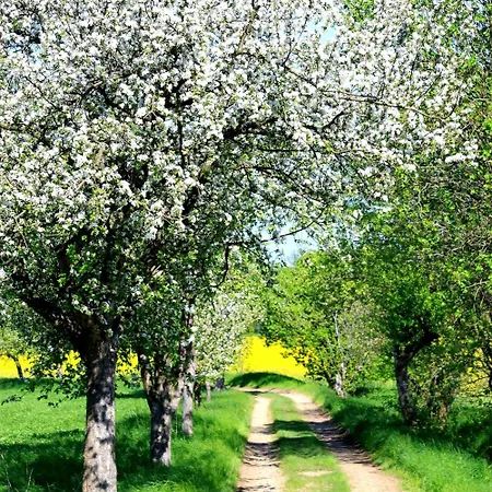 Heidehof 3* Dippoldiswalde