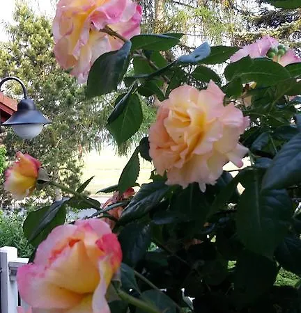 Hotel Heidehof Dippoldiswalde