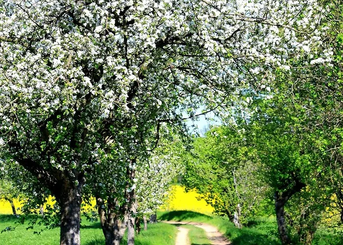 Heidehof 3* Dippoldiswalde